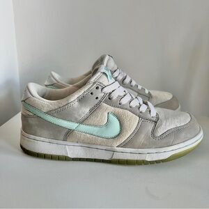 Nike low top dunk pro Skylight grey mint green sneakers